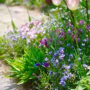 ヒメ日記 2025/04/28 12:50 投稿 蒼井 おふくろ