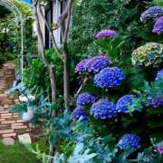 ヒメ日記 2025/06/19 11:32 投稿 蒼井 おふくろ