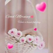 ヒメ日記 2025/07/19 08:40 投稿 飯森 渚 五十路マダム 仙台店