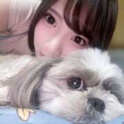 ヒメ日記 2025/07/25 11:18 投稿 このみ★ 鎌倉御殿 新館