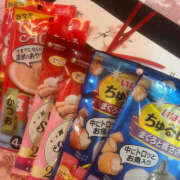 ヒメ日記 2025/03/17 15:09 投稿 ちひろ 鎌倉御殿 新館