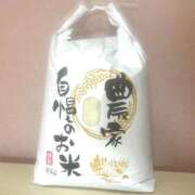ヒメ日記 2025/10/20 14:45 投稿 ちひろ 鎌倉御殿 新館