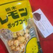 ヒメ日記 2026/01/26 16:24 投稿 ちひろ 鎌倉御殿 新館