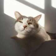 ヒメ日記 2026/02/22 10:36 投稿 ちひろ 鎌倉御殿 新館