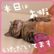 ヒメ日記 2025/02/08 12:03 投稿 すず★ 鎌倉御殿 新館