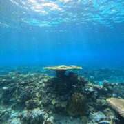 ヒメ日記 2025/07/06 18:48 投稿 すず★ 鎌倉御殿 新館