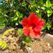 ヒメ日記 2025/08/31 00:24 投稿 すず★ 鎌倉御殿 新館