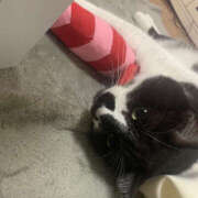 ヒメ日記 2024/12/29 15:42 投稿 まや★ 鎌倉御殿 新館