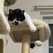 ヒメ日記 2024/12/29 21:12 投稿 まや★ 鎌倉御殿 新館