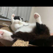 ヒメ日記 2025/01/08 00:12 投稿 まや★ 鎌倉御殿 新館