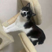 ヒメ日記 2025/01/30 19:48 投稿 まや★ 鎌倉御殿 新館