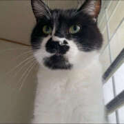 ヒメ日記 2025/02/09 11:36 投稿 まや★ 鎌倉御殿 新館