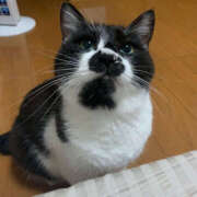 ヒメ日記 2025/03/13 19:51 投稿 まや★ 鎌倉御殿 新館