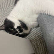 ヒメ日記 2025/03/21 11:51 投稿 まや★ 鎌倉御殿 新館