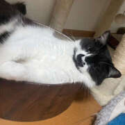 ヒメ日記 2025/03/30 10:42 投稿 まや★ 鎌倉御殿 新館