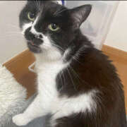 ヒメ日記 2025/06/02 19:27 投稿 まや★ 鎌倉御殿 新館