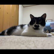 ヒメ日記 2025/06/21 02:06 投稿 まや★ 鎌倉御殿 新館