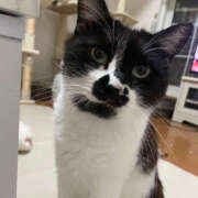 ヒメ日記 2025/07/08 09:36 投稿 まや★ 鎌倉御殿 新館