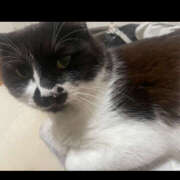 ヒメ日記 2025/07/11 11:21 投稿 まや★ 鎌倉御殿 新館