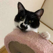 ヒメ日記 2025/07/11 21:21 投稿 まや★ 鎌倉御殿 新館