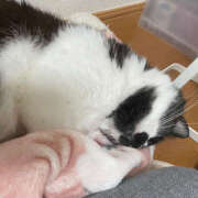 ヒメ日記 2025/08/27 10:54 投稿 まや★ 鎌倉御殿 新館