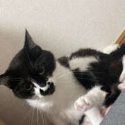 ヒメ日記 2025/08/30 23:48 投稿 まや★ 鎌倉御殿 新館