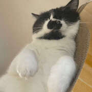 ヒメ日記 2025/08/31 16:09 投稿 まや★ 鎌倉御殿 新館