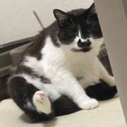 ヒメ日記 2025/09/01 18:33 投稿 まや★ 鎌倉御殿 新館