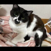 ヒメ日記 2025/09/02 10:12 投稿 まや★ 鎌倉御殿 新館