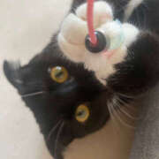 ヒメ日記 2025/09/18 21:24 投稿 まや★ 鎌倉御殿 新館