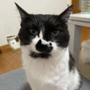 ヒメ日記 2025/09/20 22:33 投稿 まや★ 鎌倉御殿 新館