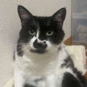 ヒメ日記 2025/10/10 16:51 投稿 まや★ 鎌倉御殿 新館