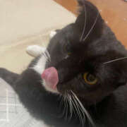 ヒメ日記 2025/10/12 11:24 投稿 まや★ 鎌倉御殿 新館