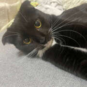 まや★ ✨次回予定完売✨ 鎌倉御殿 新館