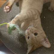 まや★ 本日ご予約完売‼️ 鎌倉御殿 新館