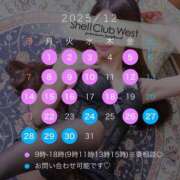 ヒメ日記 2025/11/29 08:07 投稿 小泉　けい シェルクラブ・ウエスト