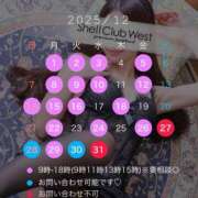 小泉　けい お知らせ最終アナウンス🧡 シェルクラブ・ウエスト