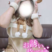 ヒメ日記 2024/12/14 12:21 投稿 ふうか　宇都宮店在籍 ぱい LOVE YOU