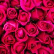 ヒメ日記 2025/07/16 22:12 投稿 山岸みなみ 五十路マダム静岡店（カサブランカG）