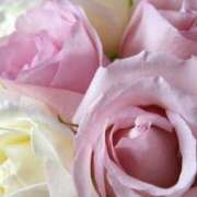 ヒメ日記 2025/07/16 22:18 投稿 山岸みなみ 五十路マダム静岡店（カサブランカG）