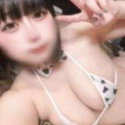 ヒメ日記 2025/02/14 07:01 投稿 ミヤ ツートップ