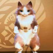 ヒメ日記 2025/03/01 13:46 投稿 ミヤ ツートップ