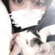 ヒメ日記 2025/03/03 18:21 投稿 ミヤ ツートップ