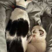 ヒメ日記 2025/03/05 13:46 投稿 ミヤ ツートップ