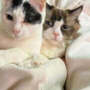 ヒメ日記 2025/03/06 19:46 投稿 ミヤ ツートップ