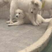 ヒメ日記 2025/03/15 10:19 投稿 ミヤ ツートップ