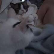 ヒメ日記 2025/04/05 23:01 投稿 ミヤ ツートップ