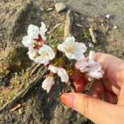 ヒメ日記 2025/04/09 23:03 投稿 ミヤ ツートップ