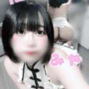 ヒメ日記 2025/04/14 09:51 投稿 ミヤ ツートップ