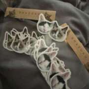 ヒメ日記 2025/04/28 02:31 投稿 ミヤ ツートップ